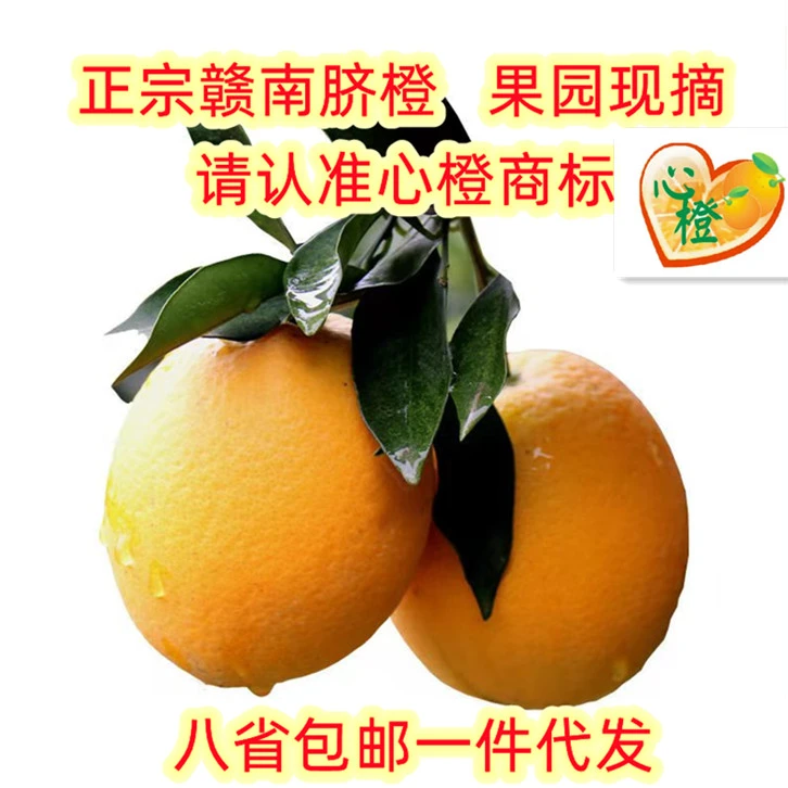 买正宗赣南脐橙，请认准“心橙”商标，江西橙子，信丰脐橙，果园现摘