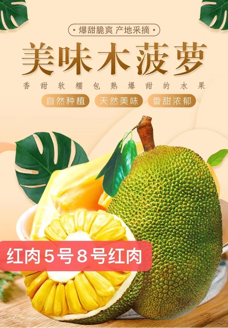 （精选）海南青皮红肉5号8号红肉木菠萝精选爆甜5000g
