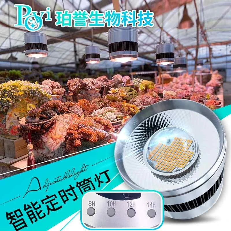 珀誉 多肉补光灯上色全光谱led家用室内花卉防徒植物仿太阳生长灯