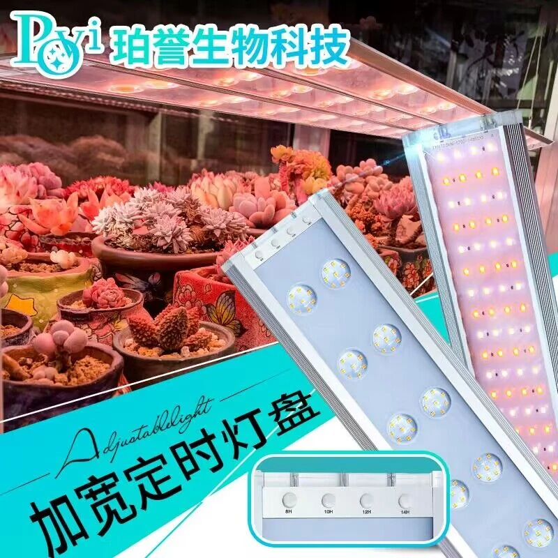 【小米多肉推荐】珀誉多肉补光灯上色全光谱室内家用防徒植物生长灯