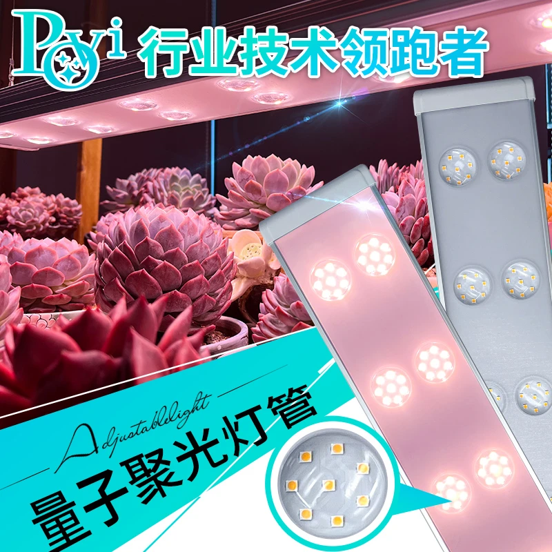 【肉肉小团子 推荐1 珀誉多肉补光灯上色全光谱室内防徒植物生长灯
