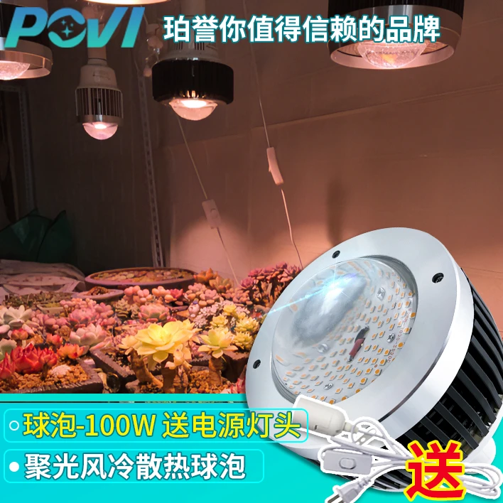 【青山绿水 备用】珀誉多肉补光筒灯 上色全光谱家用防徒植物生长灯