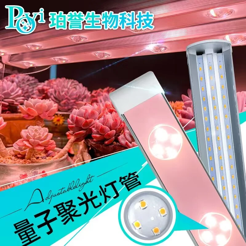 【龚毅爽推荐】珀誉多肉补光灯上色全光谱家用防徒仿太阳植物生长灯