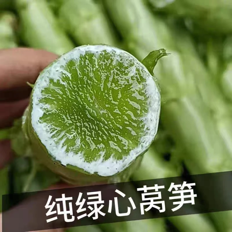 湖北应季露天香莴笋 本地老品种绿肉莴苣 去根去叶新鲜3-5斤包邮