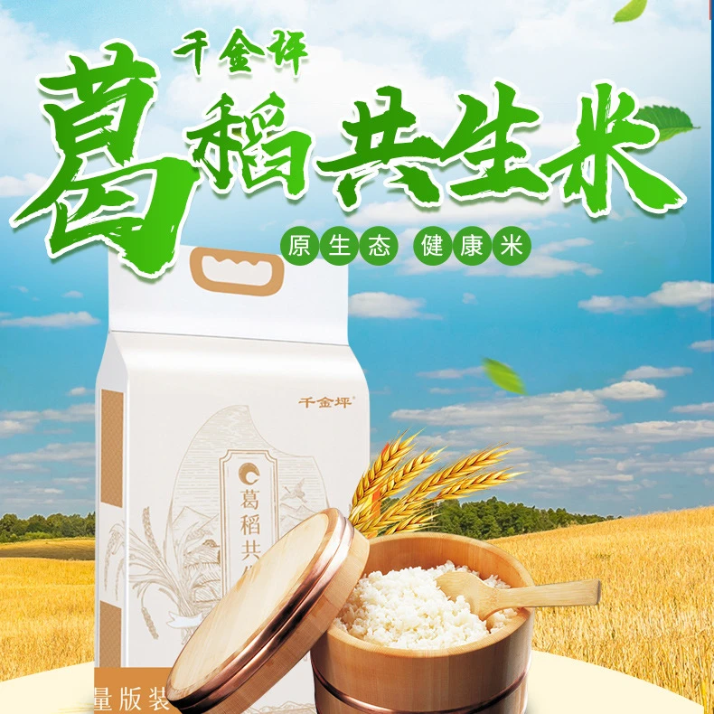 葛稻共生米 粉丝专享