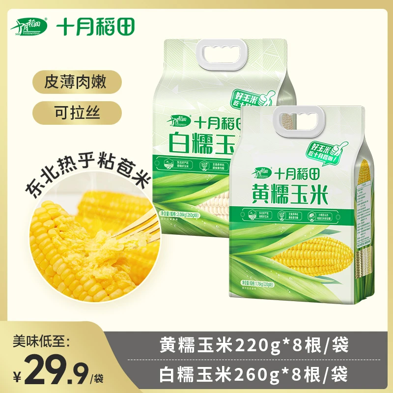 十月稻田黄糯白糯玉米棒玉米粒香甜粘糯可拉丝东北黏苞米铝膜真空