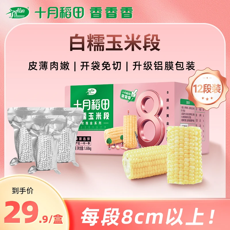 【12段】十月稻田玫瑰金白糯玉米段黄糯玉米香甜东北黏苞米可拉丝