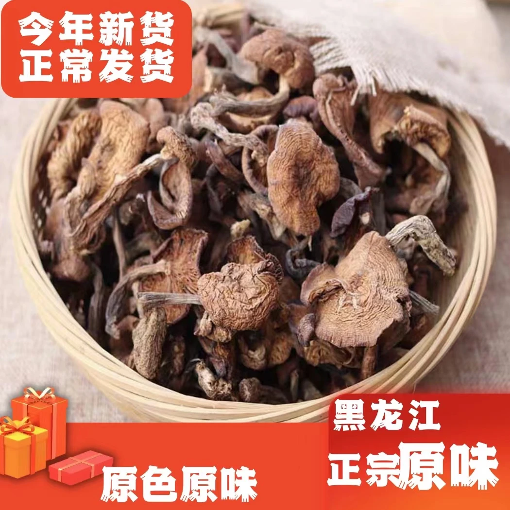 大山里的榛蘑，农家原生态小鸡炖蘑菇营养鲜嫩食用炖菜