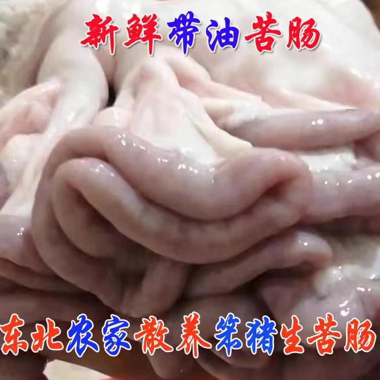 【苦肠】东北农村纯粮喂养笨猪苦肠