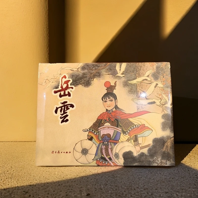 岳云  辽宁美术出版社32开大精