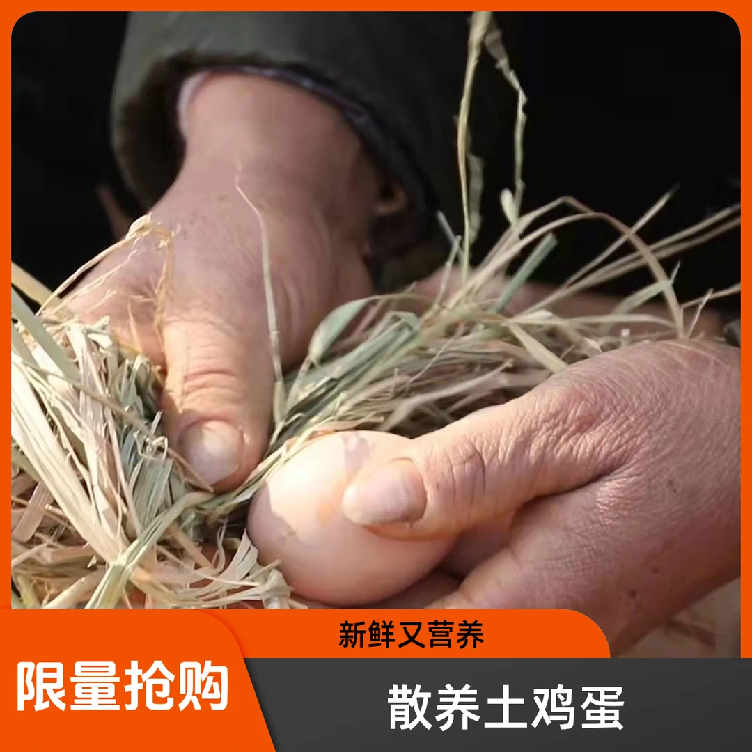 【农家散养正宗土鸡蛋柴鸡蛋】新鲜营养富硒竹林跑山鸡散养鸡土鸡蛋