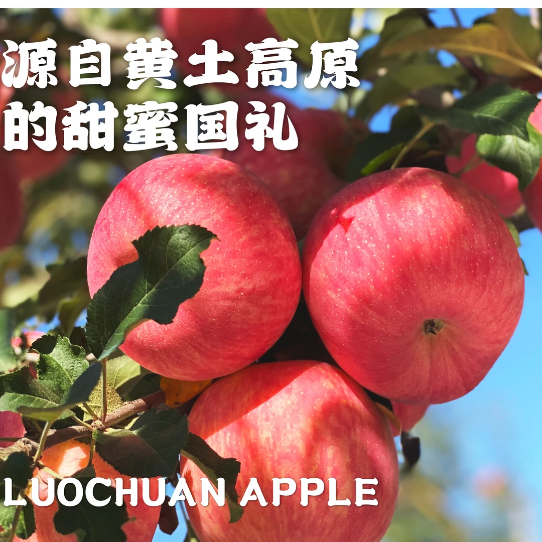 富士苹果脆甜原汁原味