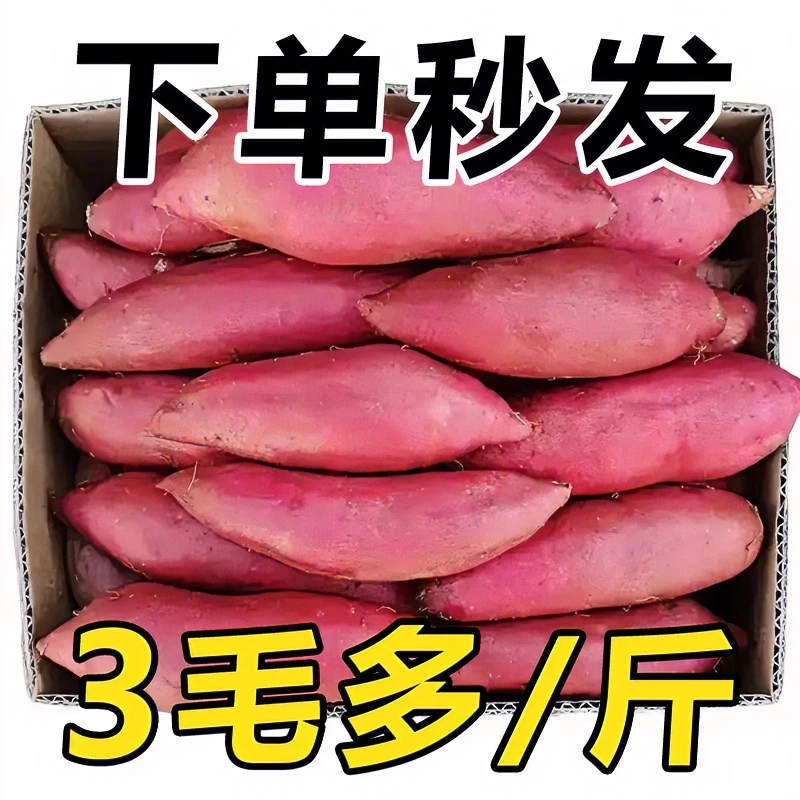 【大降价】新鲜沙地蜜薯红薯地瓜1/10斤香甜番薯板栗红薯正宗烤红