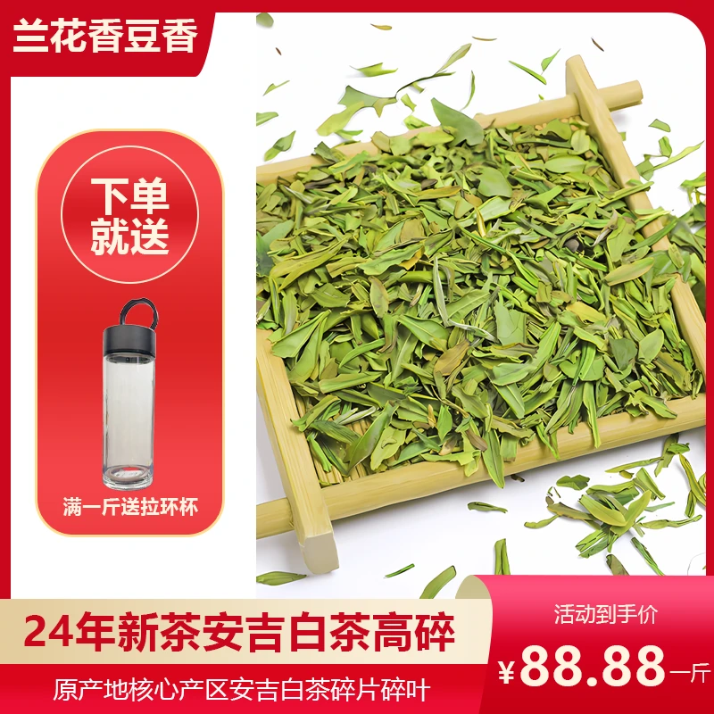 【安吉白奶片】生产奶叶奶片，断牙，断叶，2024新茶安吉原产地白茶