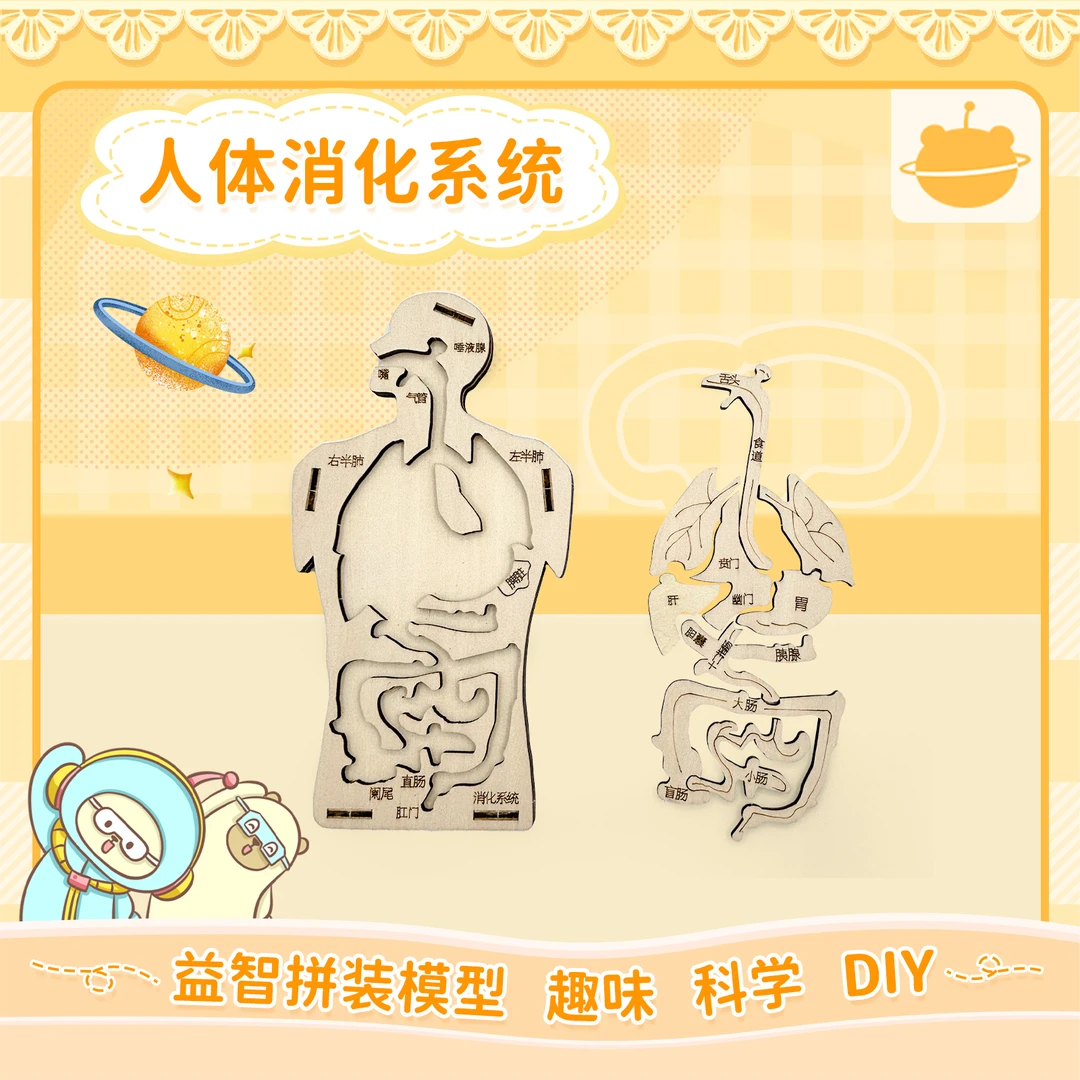 木莯星球科学实验人体消化系统木制科技小制作小学生DIY拼装模型