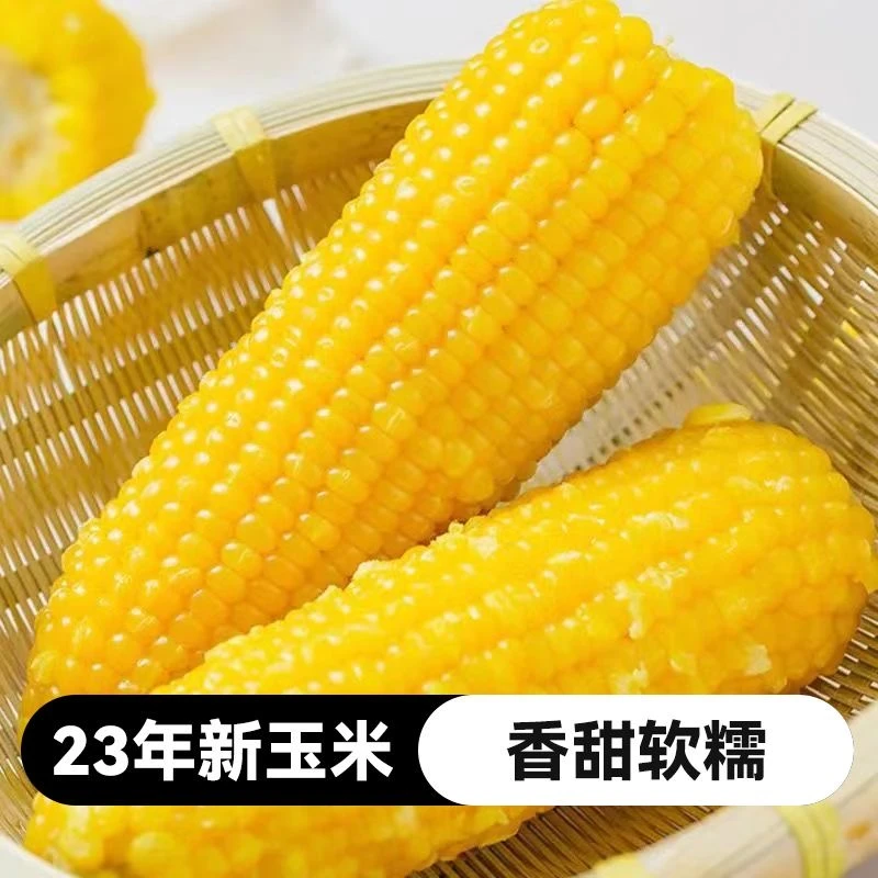 裕福农园东北黄糯玉米棒 两箱装