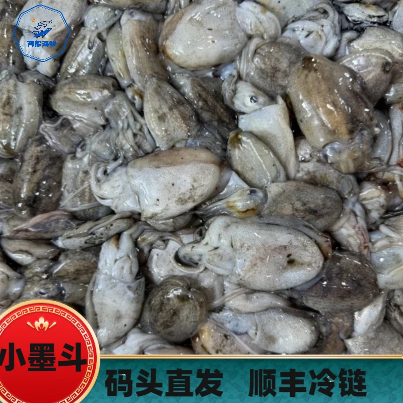 【码头直发】野生小墨斗 福建省祥芝港海鲜 顺丰冷链新鲜发货