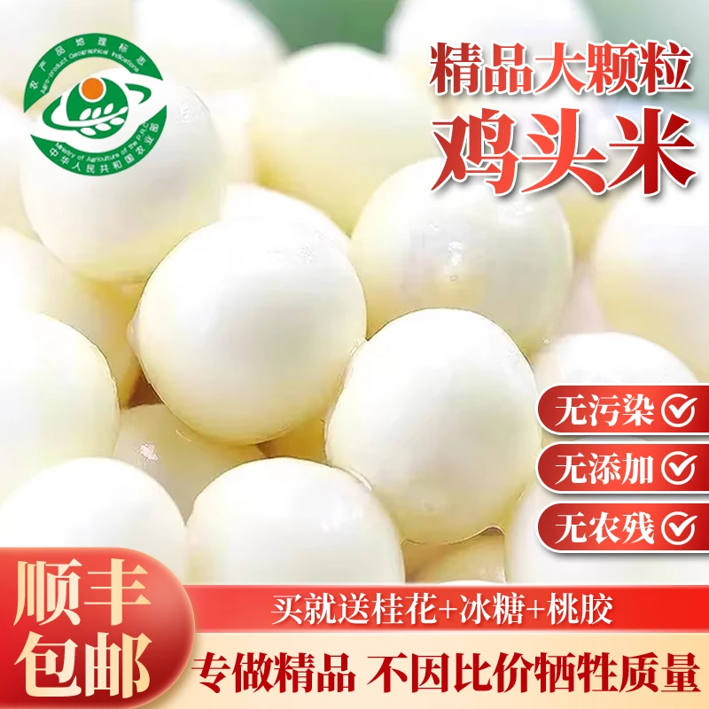 【精品大颗粒】年新鲜苏州鸡头米新鲜特产正宗苏州鸡头米