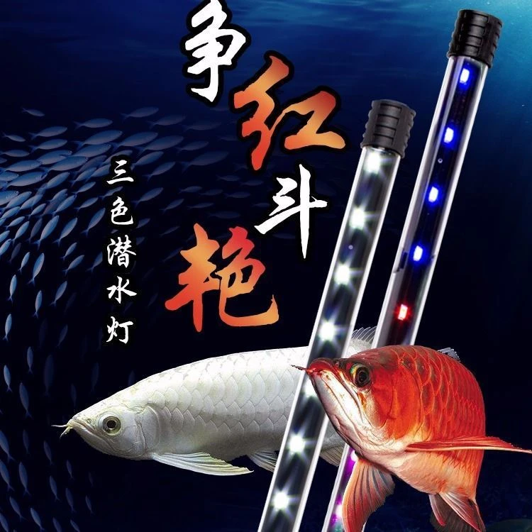 LED龙鱼缸灯水陆两用水中照明灯LED水草水族箱潜水led照明防水灯d