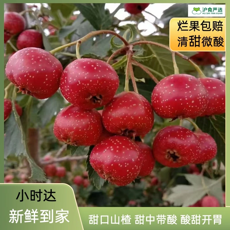 小甜甜山楂 250 克/盒
