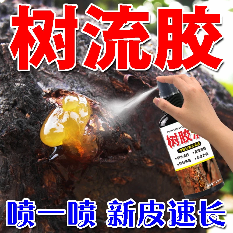 果树流胶梨树樱桃树苹果树桃树流胶树胶清果树通用免稀释直接喷