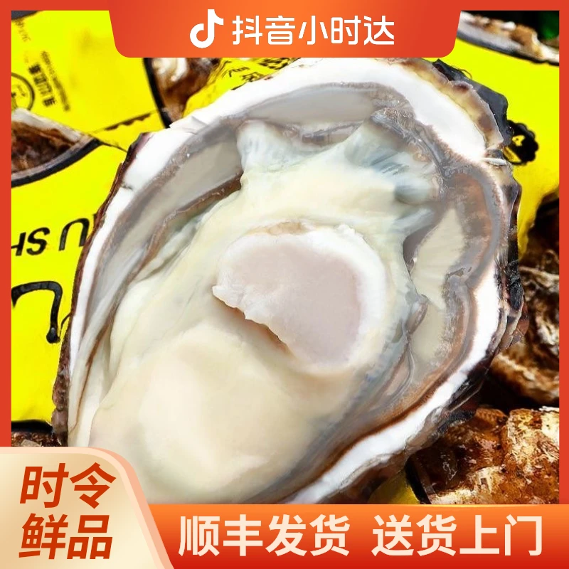 鲜活生蚝  无泥无沙  刺身品质鲜度有保障