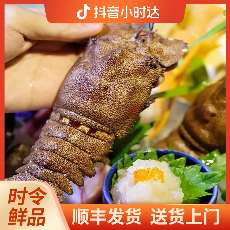 刺身品质犀牛虾 冰鲜非冷冻 顺丰冷链发货