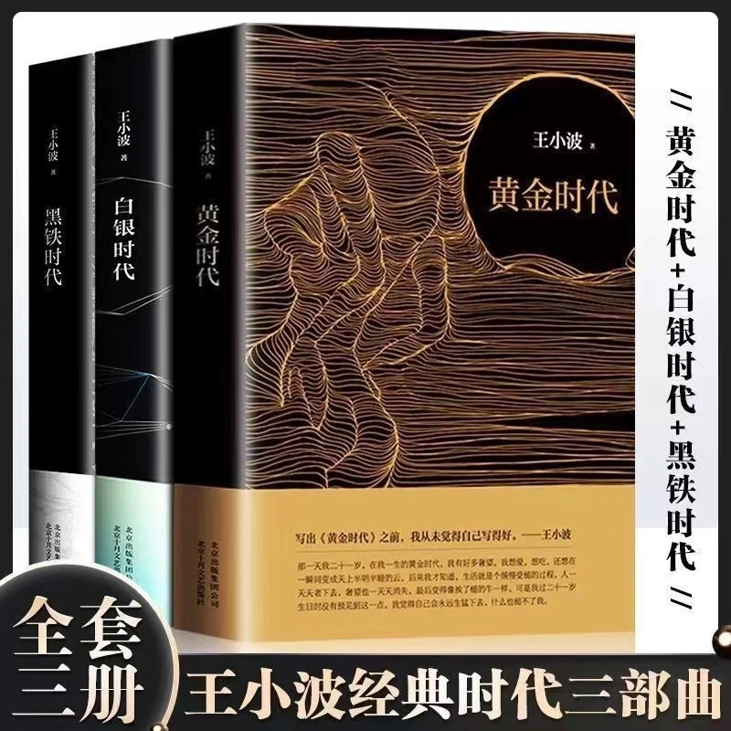 黄金时代+白银时代+黑铁时代全套3册 王小波时代三部曲文学随笔集