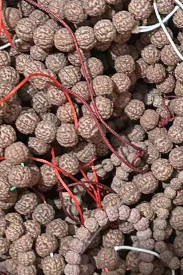 印尼小金刚体验款（有黄）