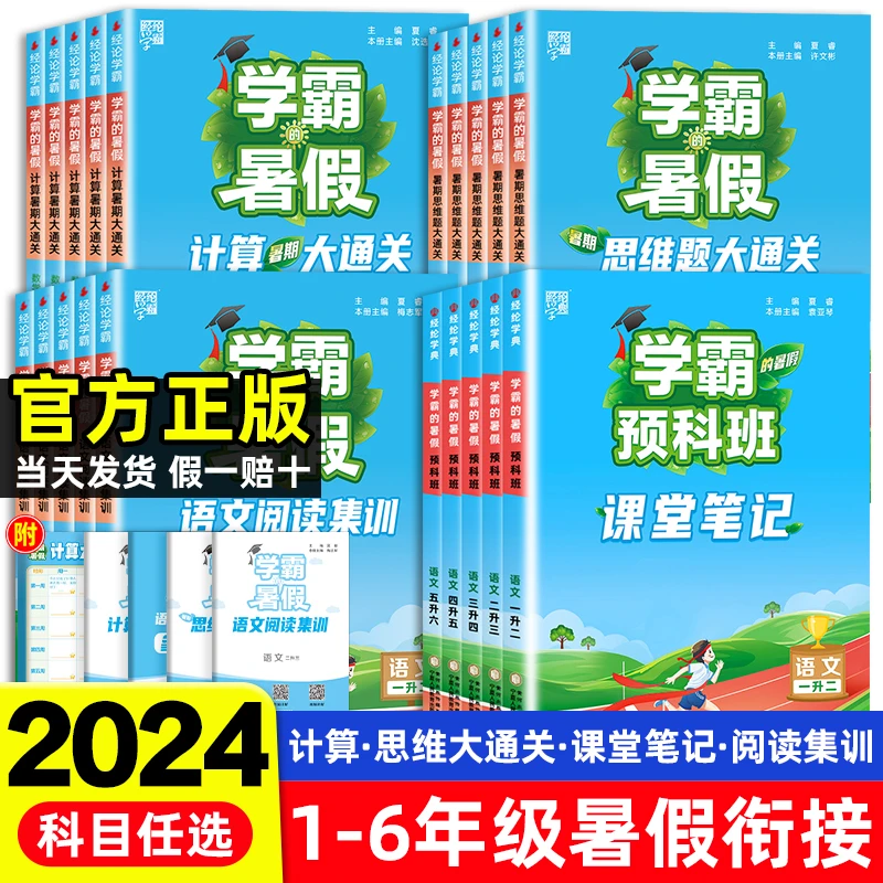 学霸的暑假一升二升三升四升五升六年级衔接作业人教通用语文阅读
