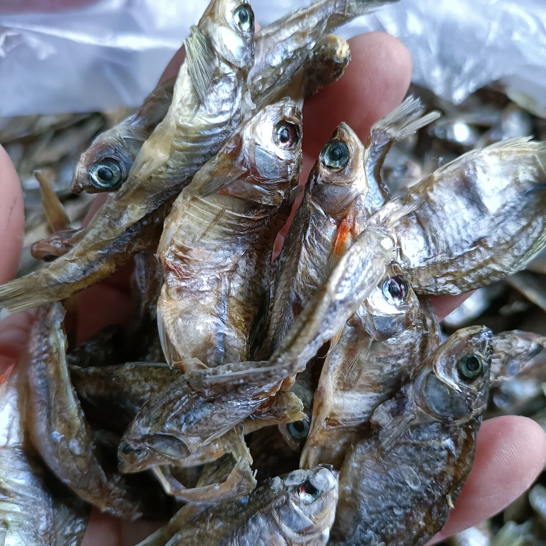 黑龙江大兴安岭野生葫芦子500克