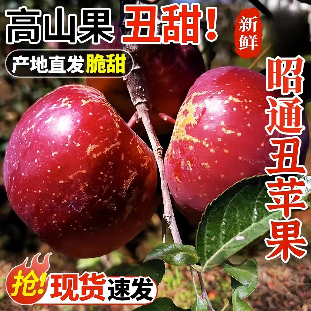 云南昭通丑苹果冰糖心苹果红苹果小苹果新鲜应季水果脆甜3-8斤