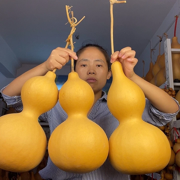 肥*天然葫芦。。。。。。