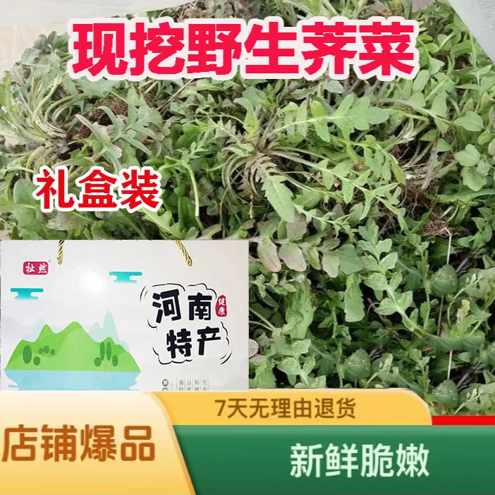 【礼盒装1斤】荠菜干农家自制500克脱水蔬菜搭配包饺子原味