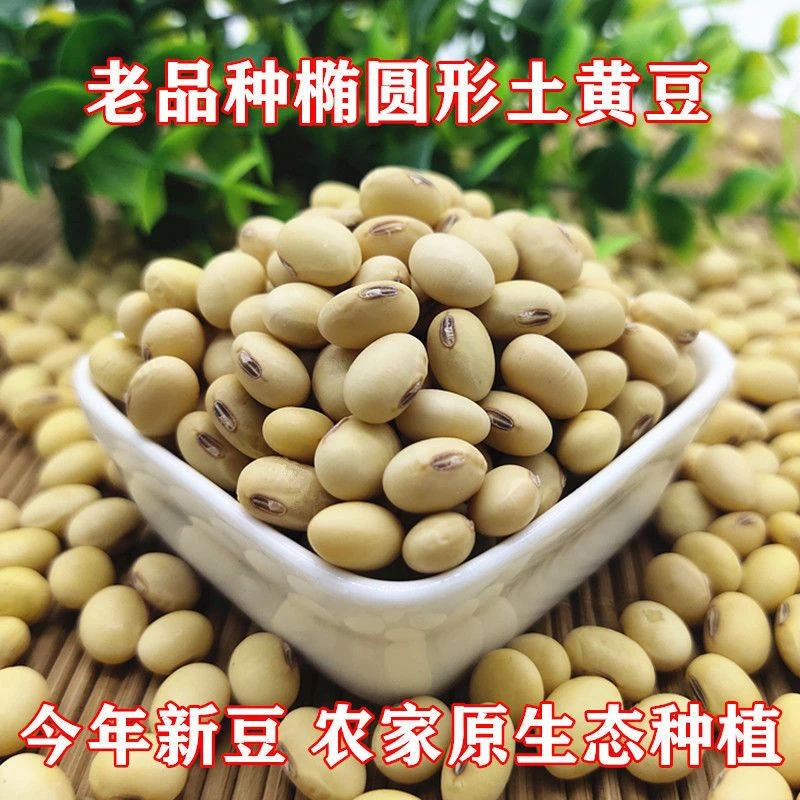 黄豆产地直发河南黄豆袋装大豆椭圆形老品种黄豆非转基因新货