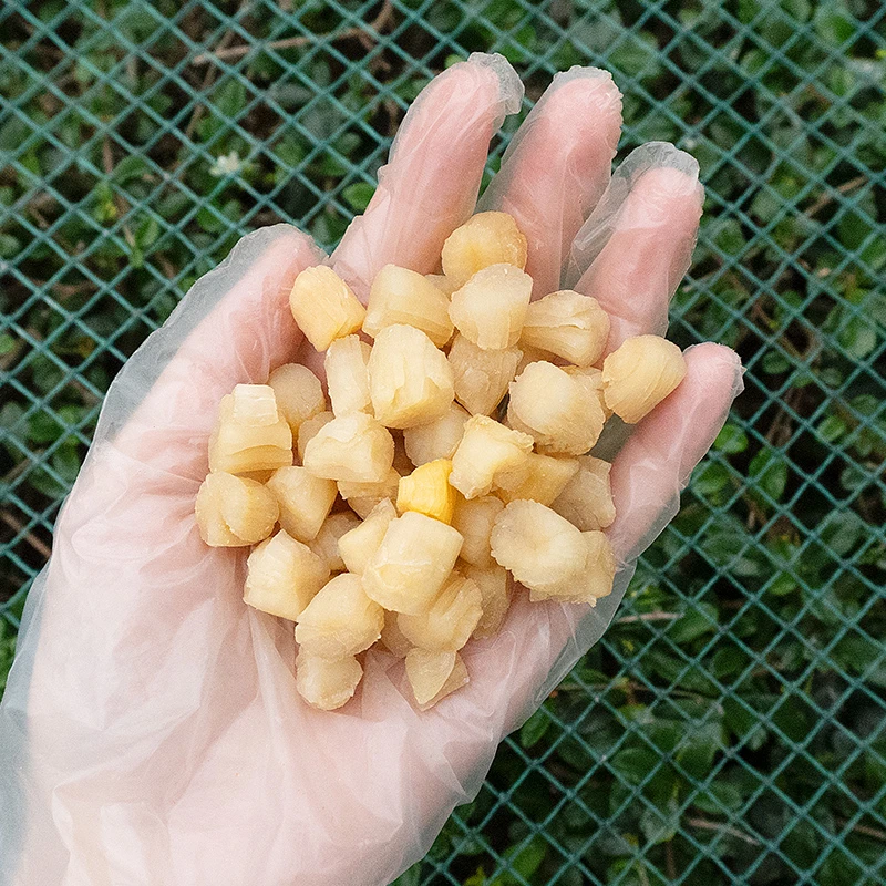 【优质瑶柱】干贝无添加淡晒大扇贝干煲汤煲粥