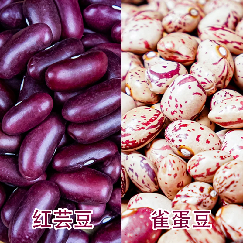 贵州高山特产农家种植雀蛋豆 煲粥豆米火锅精选颗粒饱满 优选