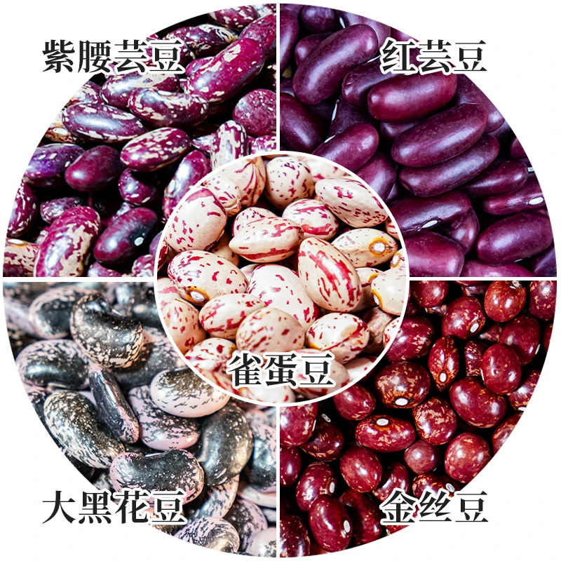 贵州特产高山农家种植芸豆5斤组合装 营养丰富 豆米火锅 煲粥炖炒