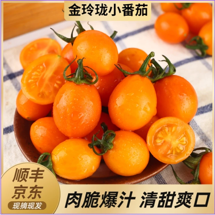 金玲珑圣女果新鲜樱桃小番茄黄金小西红柿肉脆酸甜3-5斤现摘包邮