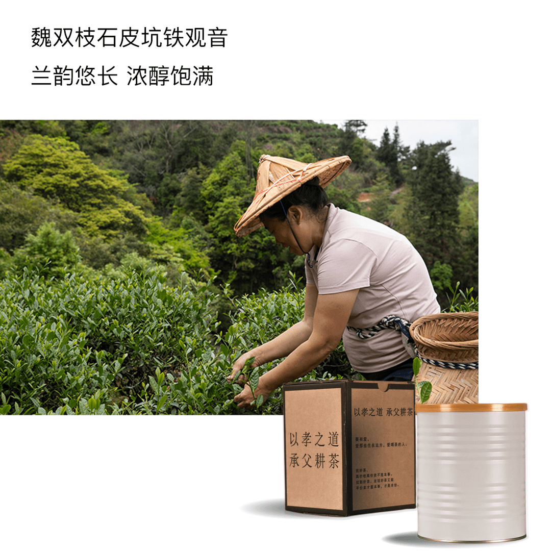 百年老丛古法安溪铁观音/魏双枝/石皮坑/手制红心歪尾桃乌龙茶70g