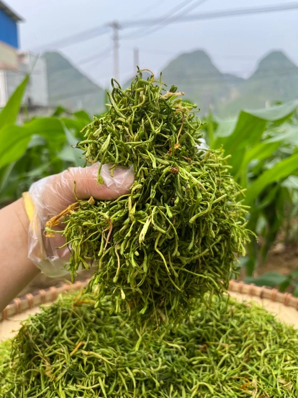 广西马山野生金银花菜花蕾125g左右散装现称