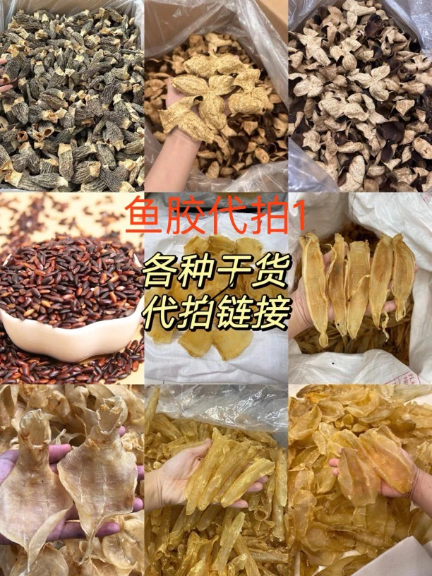 小侬家 代拍鱼肚 南澳半斤1斤