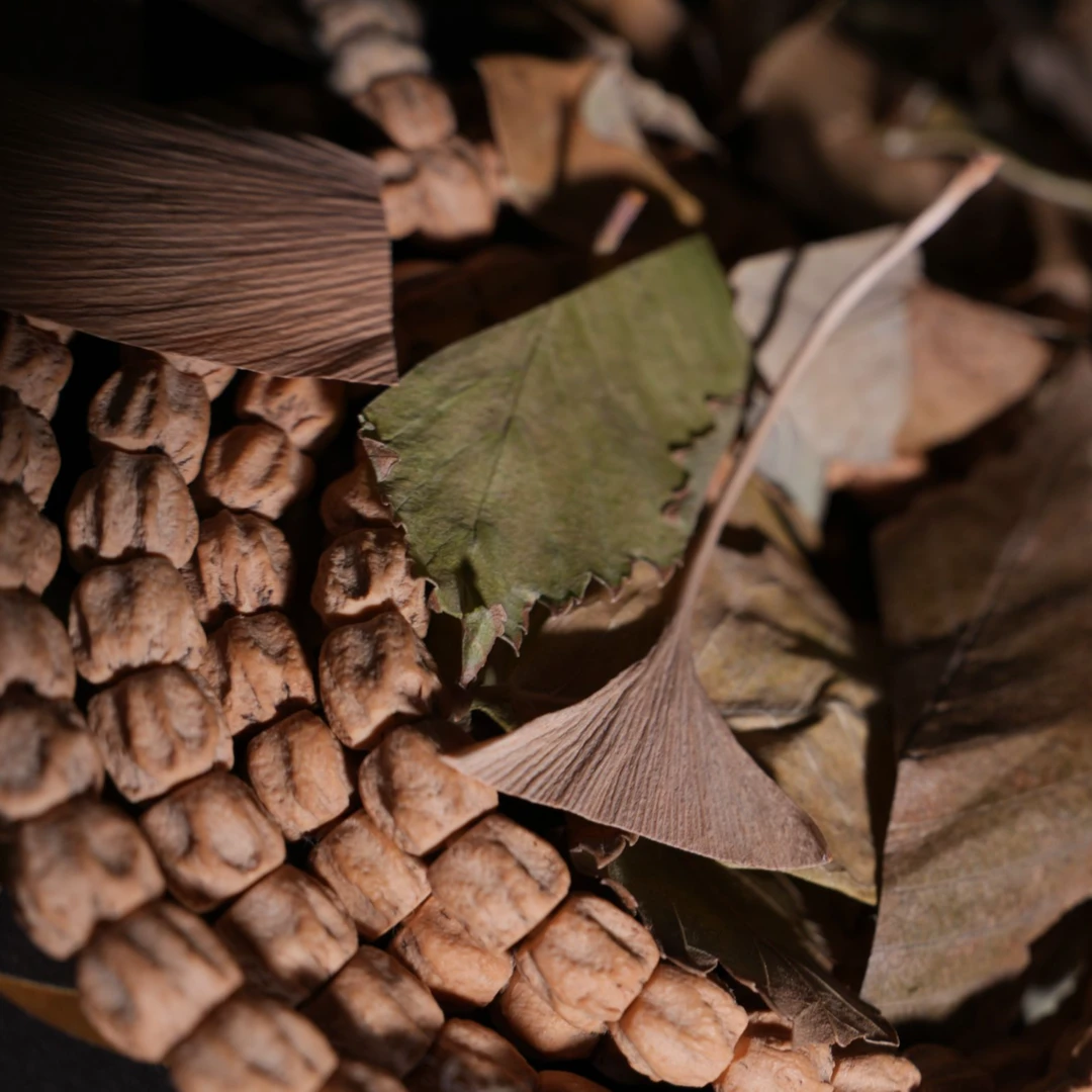 天然热振柏香籽 直筒刀锋顺 带工具