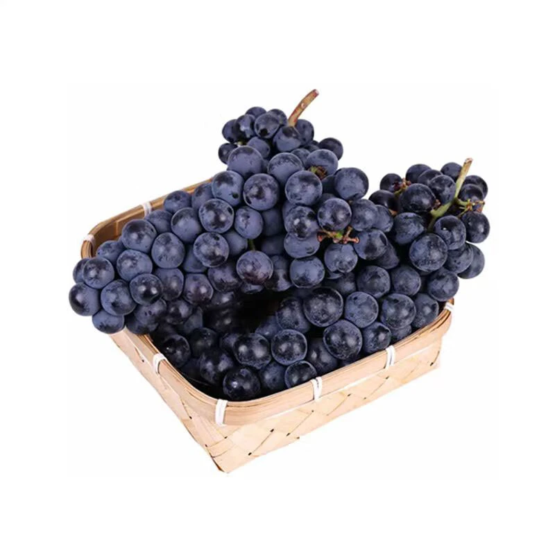 云南夏黑葡萄450g