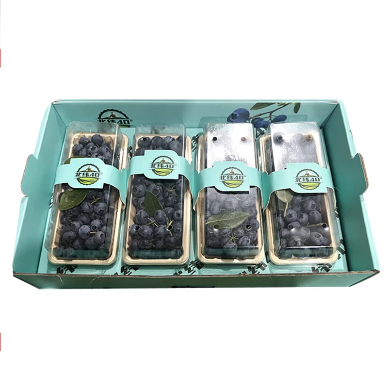 【整箱】长白山带枝串蓝莓4盒装 900g