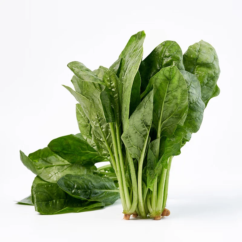 【嫩芽尖尖】菠菜苗400g(长度≤20cm)
