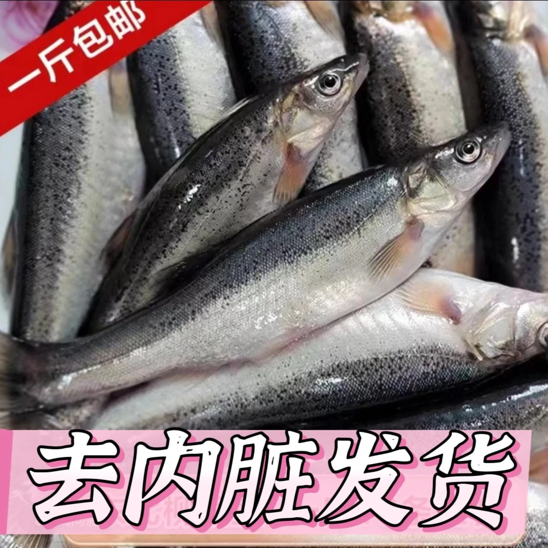 东北野生柳根鱼 江鱼 河鲜 去内脏发货 净含量500克包邮