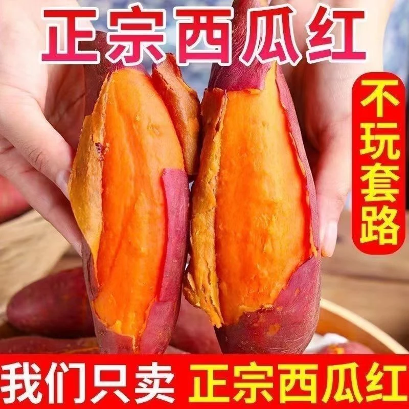 乡村振兴产品【西瓜红蜜薯】净重5斤无丝无筋香甜可口红薯西瓜红蜜薯北京市