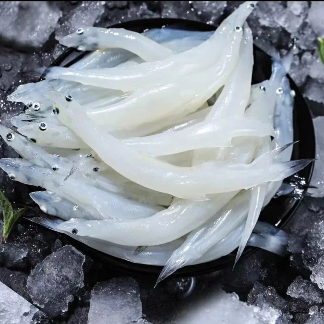连云港野生银鱼 鲜活速冻大个银鱼 120g/包*6包 无刺无鳞无内脏