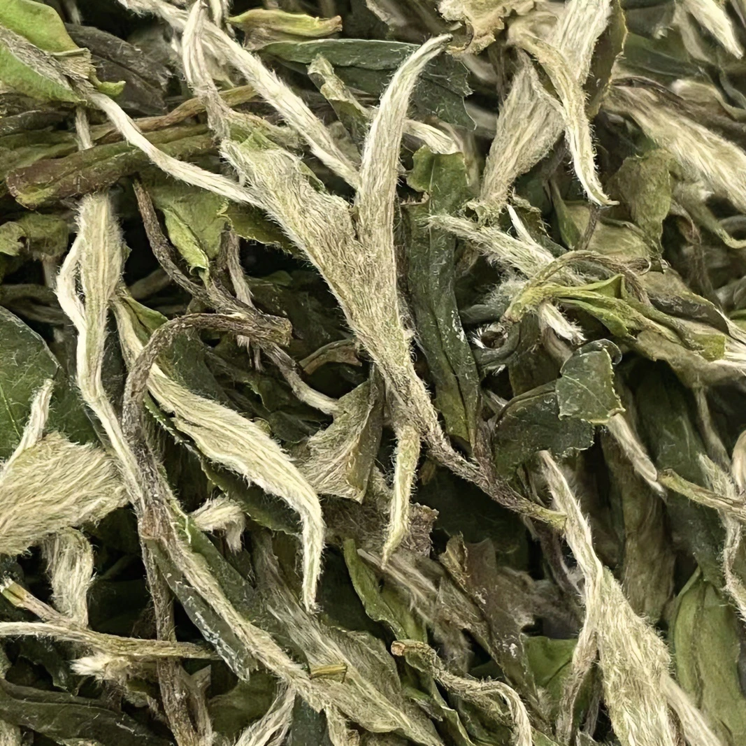 臻茗益  2022年花香白牡丹 日晒 福鼎白茶 250g盒装 花香一芽一两